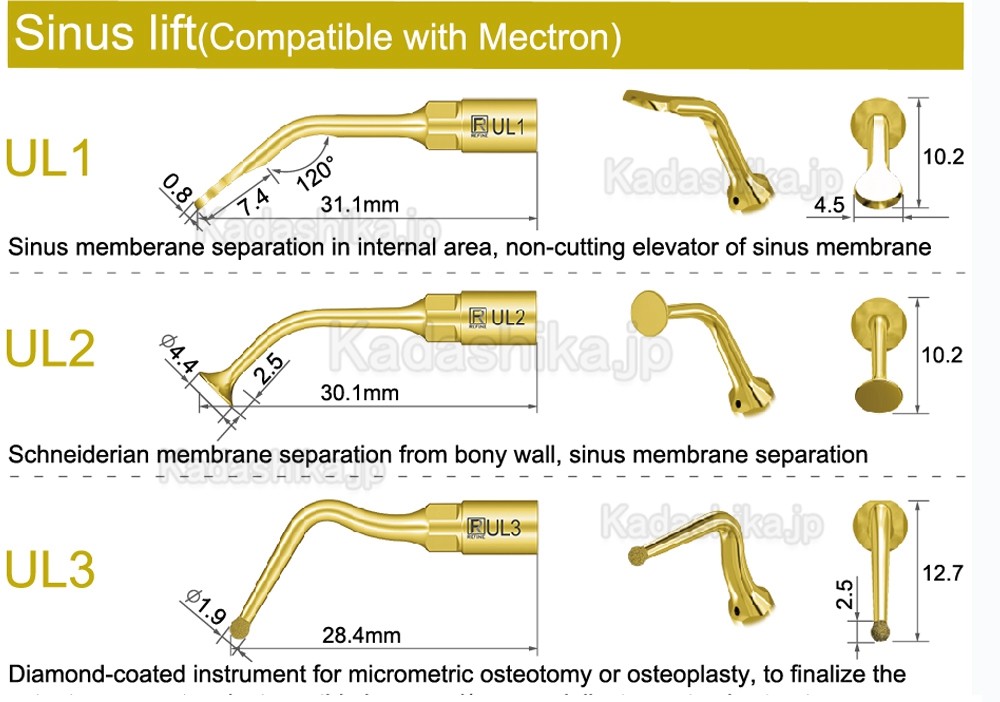 歯科ピエゾサージェリースケーラーチップ UL1 UL2 UL3 UL4 UL5 (Mectron Woodpeckerと互換性あり)